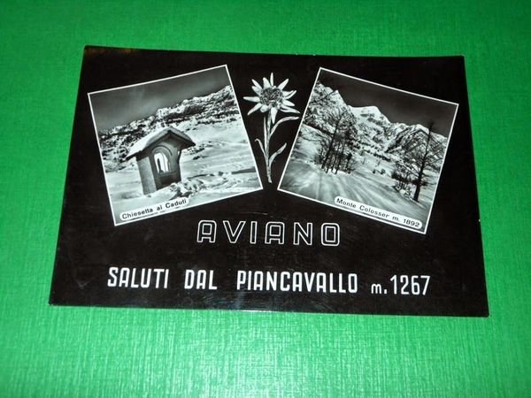 Cartolina Aviano - Saluti dal Piancavallo - Vedute diverse 1959 | Immagine principale