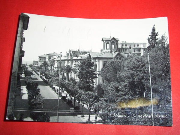 Cartolina Chiavari - Viale degli Aranci 1957.