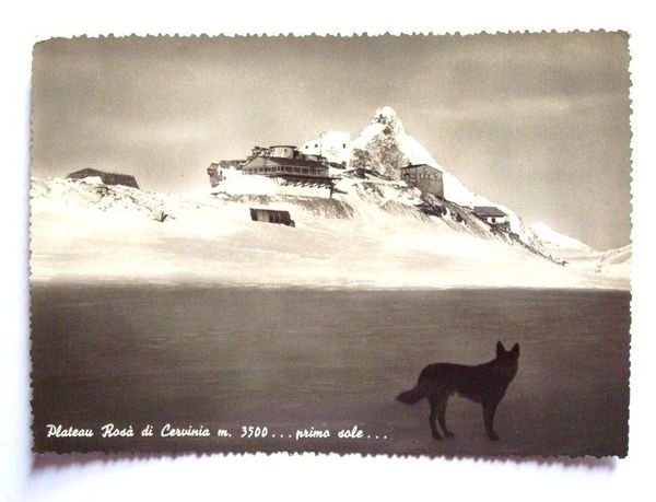 Cartolina Plateau Rosa di Cervinia - panorama 1952