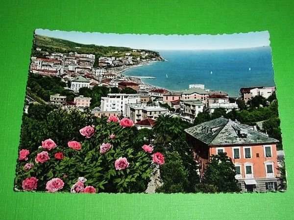 Cartolina Albissola - Panorama da Ponente 1956