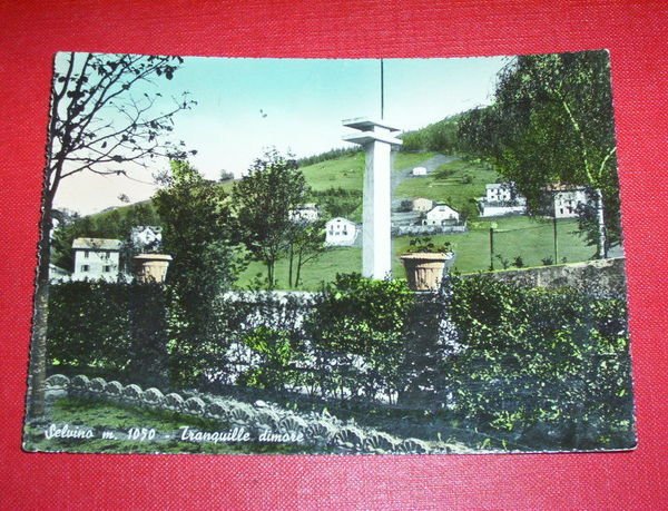 Cartolina Selvino ( Bergamo ) - Panorama 1957