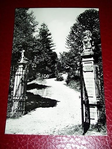 Cartolina Laveno Mombello - Pensionato Villa PAX 1964