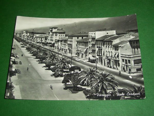 Cartolina Viareggio - Viale Carducci 1950 ca