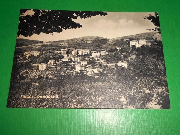 Cartolina Fiuggi - Panorama 1953