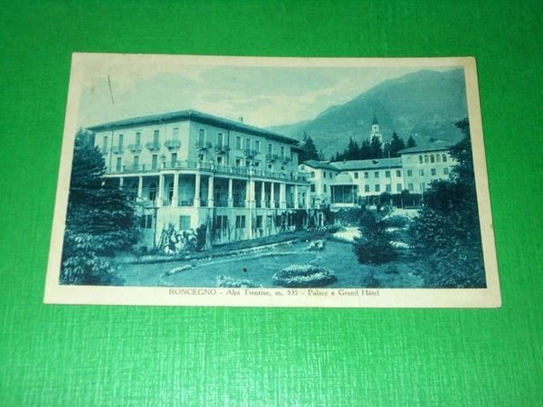 Cartolina Roncegno ( Trento ) - Alpi Trentine - Palace …