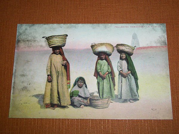 Cartolina Egitto Egypt - Cairo - Fellahine Ramassant Le Fumier … | Immagine principale