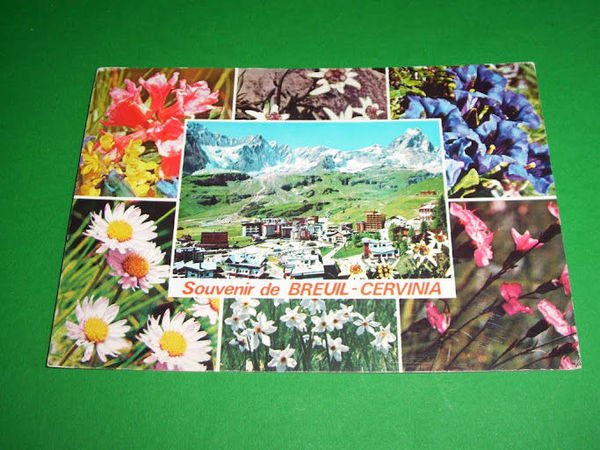 Cartolina Breuil Cervinia - Panorama e flora alpina 1979