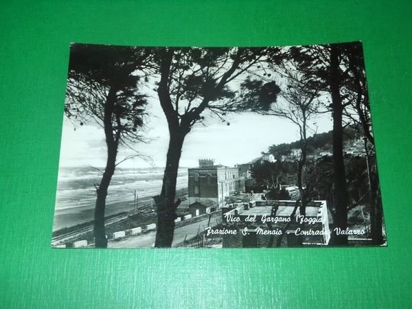 Cartolina Vico del Gargano ( Foggia ) - Frazione S. …