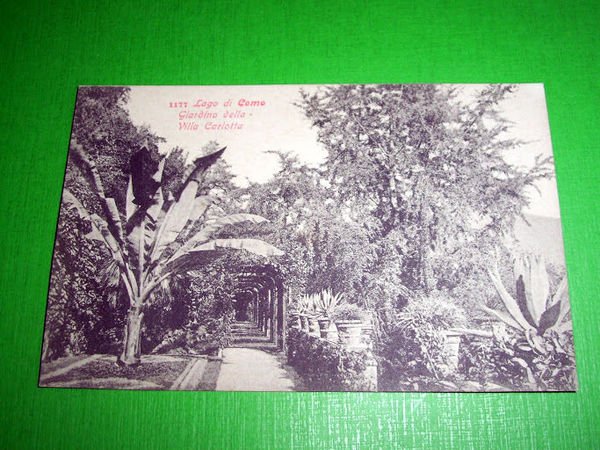 Cartolina Lago di Como - Giardino della Villa Carlotta 1910 …