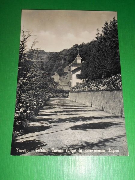 Cartolina Trivero - Villetta Fiorita lungo la panoramica Zegna 1955.
