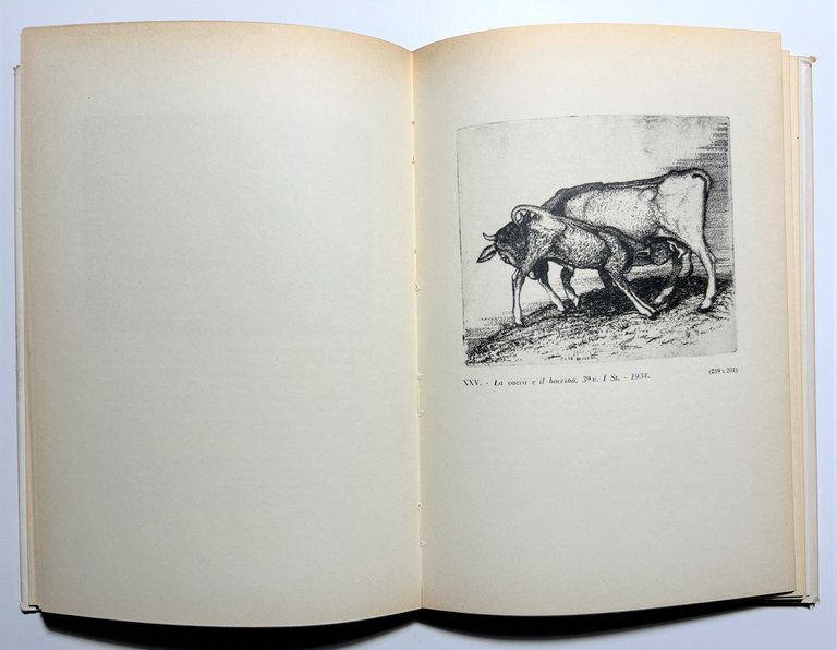 A. Dragone - L'opera incisa di Cino Bozzetti - ed. …