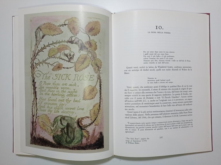 A. Paterson - La storia della rosa - ed. 1984