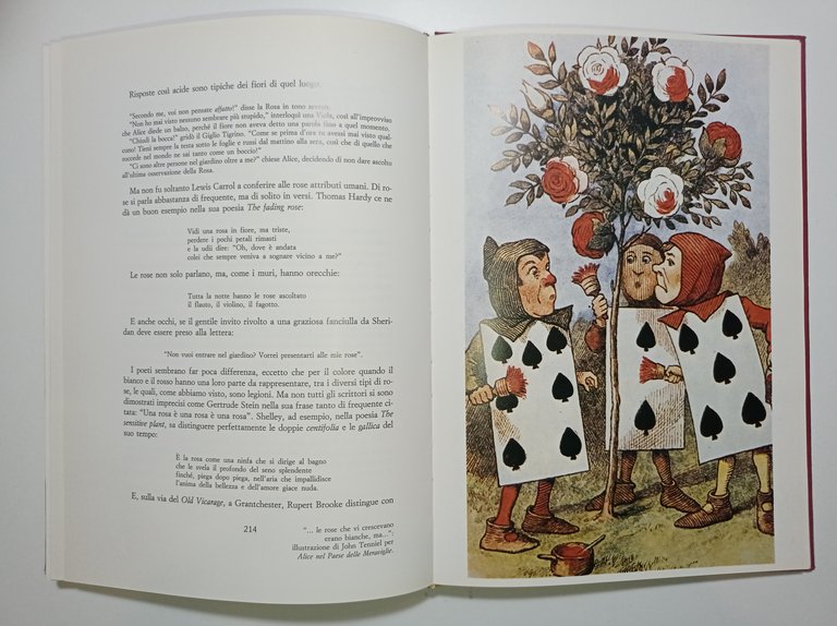 A. Paterson - La storia della rosa - ed. 1984