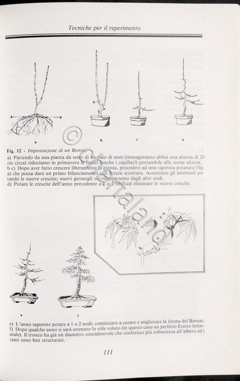 A. Ricchiari - Manuale del Bonsai - ed. 1997
