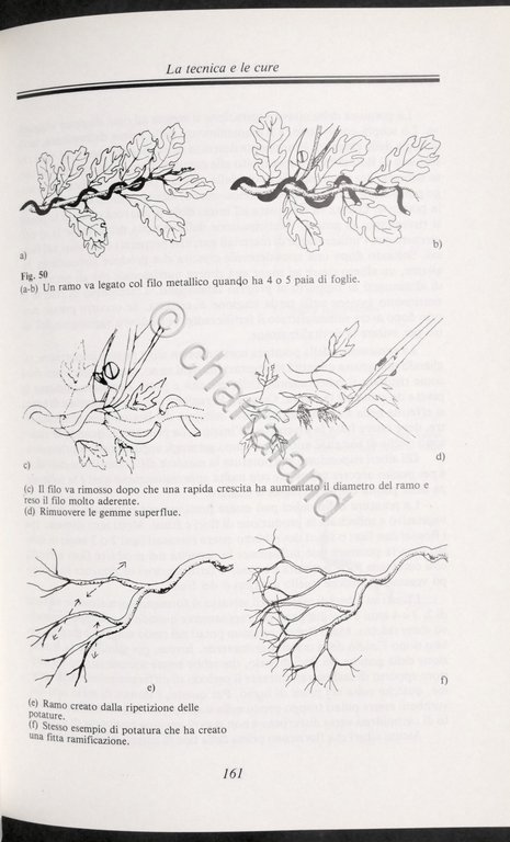 A. Ricchiari - Manuale del Bonsai - ed. 1997