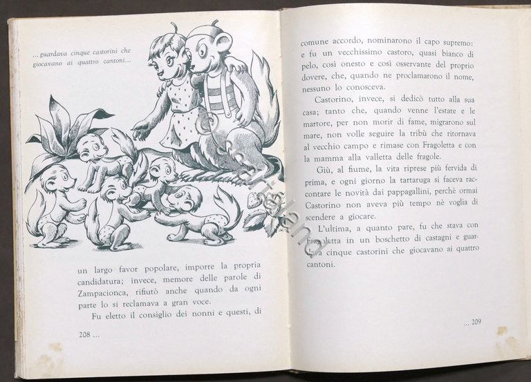 A. Rogier - Castorino - Romanzo per ragazzi - Disegni …