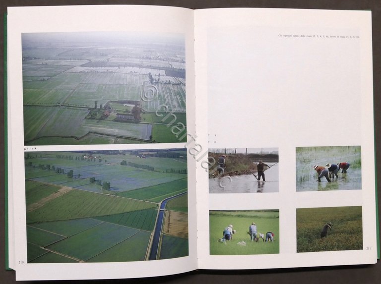 AA. VV. - La Bassa Novarese - 1^ ed. 1981