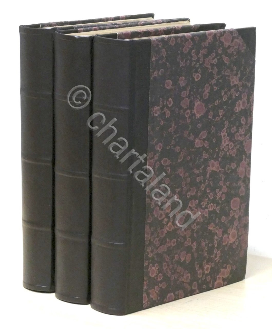 AA. VV. - La vita, le conquiste e le scoperte … | Immagine principale