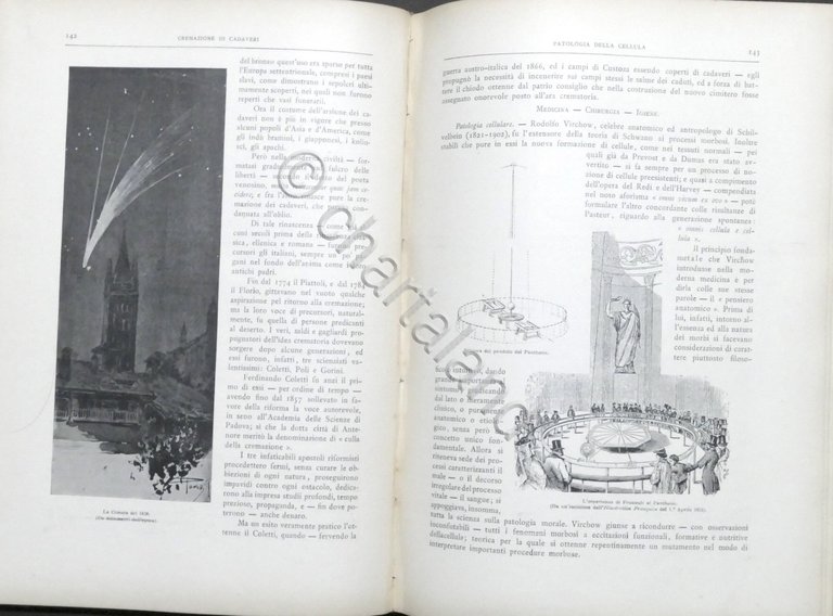 AA. VV. - La vita, le conquiste e le scoperte … | Immagine Gallery 8