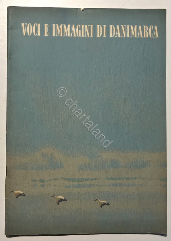 AA. VV. - Voci e immagini di Danimarca - ed. … | Immagine Gallery 1