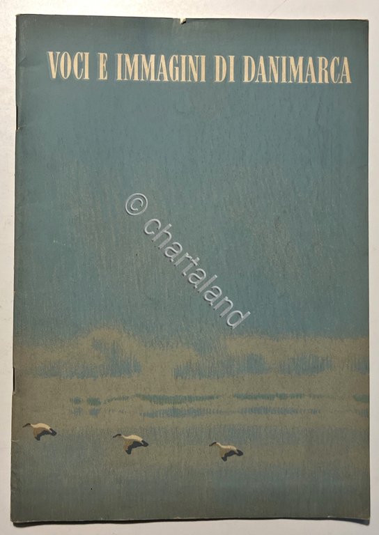 AA. VV. - Voci e immagini di Danimarca - ed. …