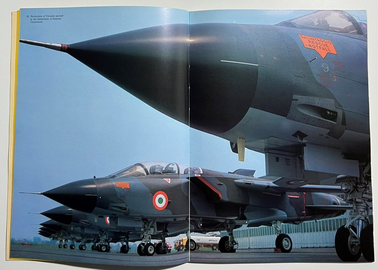 Aeritalia: Società Aerospaziale Italiana - IRI Finmeccanica - ed. 1987