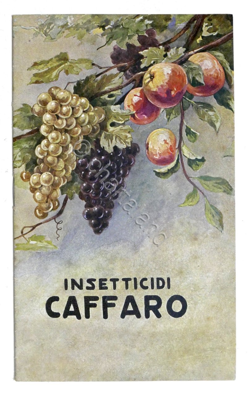 Agraria - Insetticidi Caffaro - Norme per uso - 1928 | Immagine principale