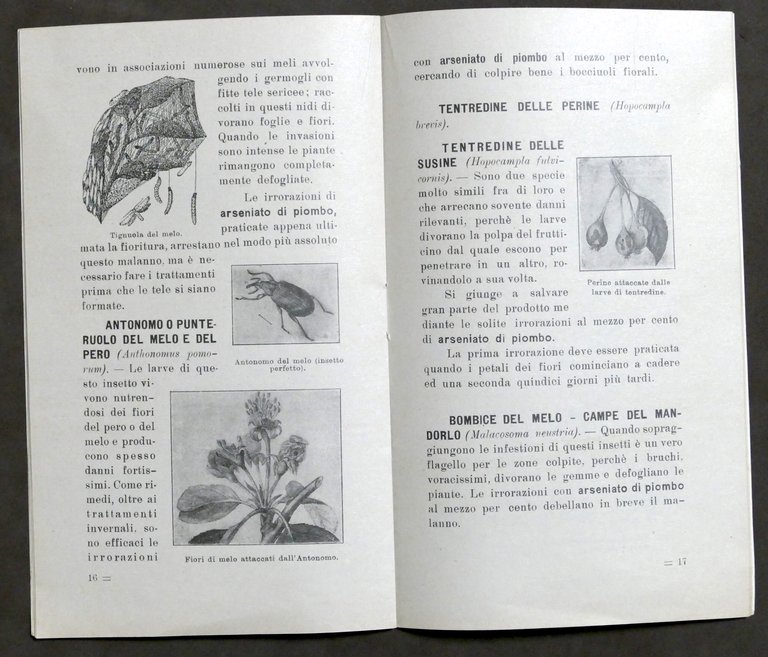 Agraria - Insetticidi Caffaro - Norme per uso - 1928 | Immagine Gallery 5
