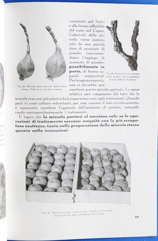 Agraria - La lotta antiparassitaria - Amonn - ed. 1937 | Immagine Gallery 2