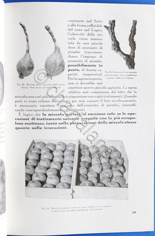 Agraria - La lotta antiparassitaria - Amonn - ed. 1937 | Immagine Gallery 6