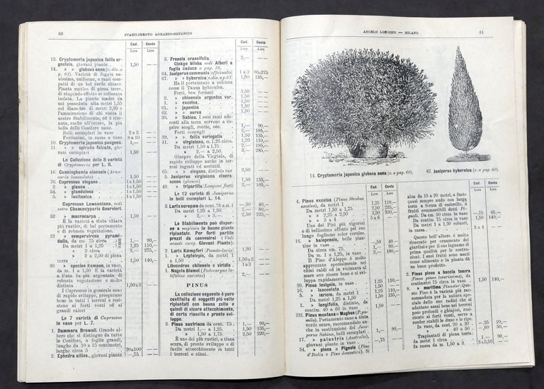 Agraria Milano Catalogo Stabilimento Agrario Botanico A. Longone N. 138 …