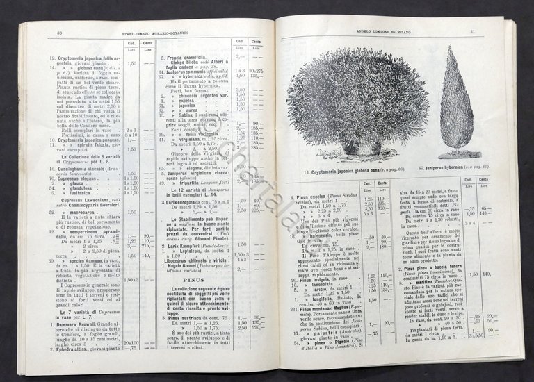 Agraria Milano Catalogo Stabilimento Agrario Botanico A. Longone N. 138 …