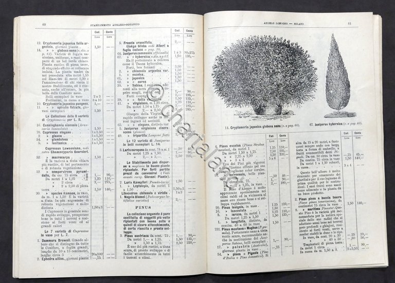 Agraria Milano Catalogo Stabilimento Agrario Botanico A. Longone N. 138 …