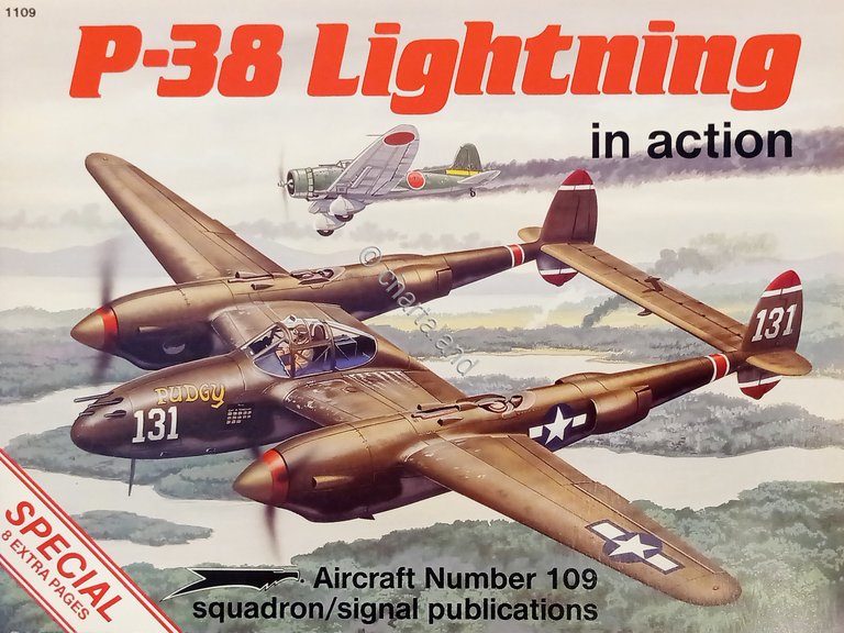 Aircraft N. 109 - L. Davis - P-38 Lightning in …