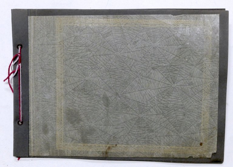 Album d'epoca per fotografie - inizio '900