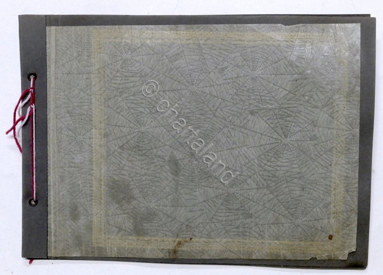 Album d'epoca per fotografie - inizio '900