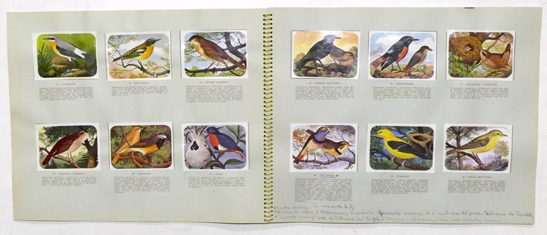 Album Enciclopedia di Topolino - Gli Uccelli - Vol. IV …