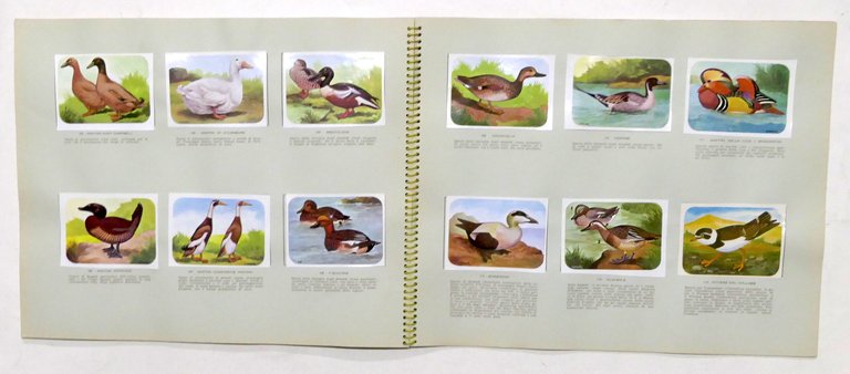 Album Enciclopedia di Topolino - Gli Uccelli - Vol. IV …