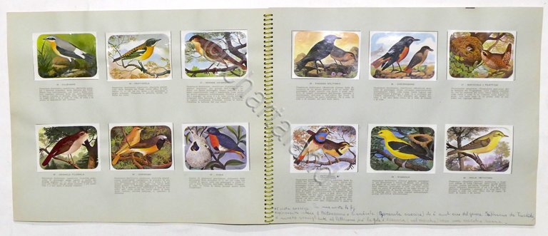 Album Enciclopedia di Topolino - Gli Uccelli - Vol. IV …