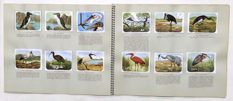 Album Enciclopedia di Topolino - Gli Uccelli - Vol. IV …