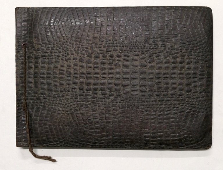 Album raccolta fotografie Alpini - Montagne Nord Italia - anni …