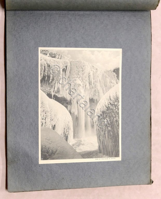 Album raccolta stampe fotografiche d'epoca Niagara Falls - 1900 ca. …