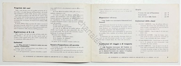 Alessandria, 6^ Esposizione Canina - 25 Aprile 1937 C. A. …