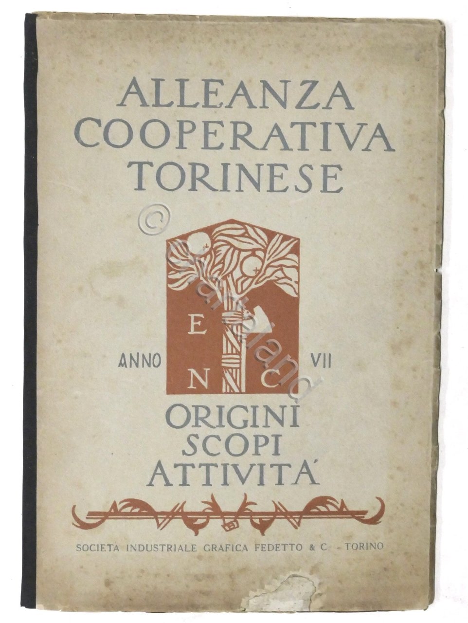 Alleanza Cooperativa Torinese - Origini Scopi Attività - 1929