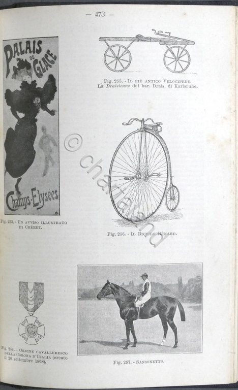 Almanacco Italiano - Piccola Enciclopedia Popolare della Vita Pratica - …