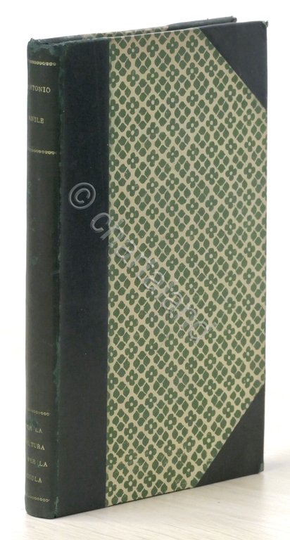 Anile Per la cultura e per la scuola Discorsi ministro … | Immagine Gallery 5