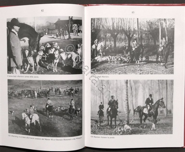 Annali della Società Torinese per la Caccia a Cavallo - …