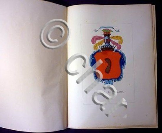 Araldica e genealogia Famiglia Bellini di Novara - 1900 | Immagine Gallery 2