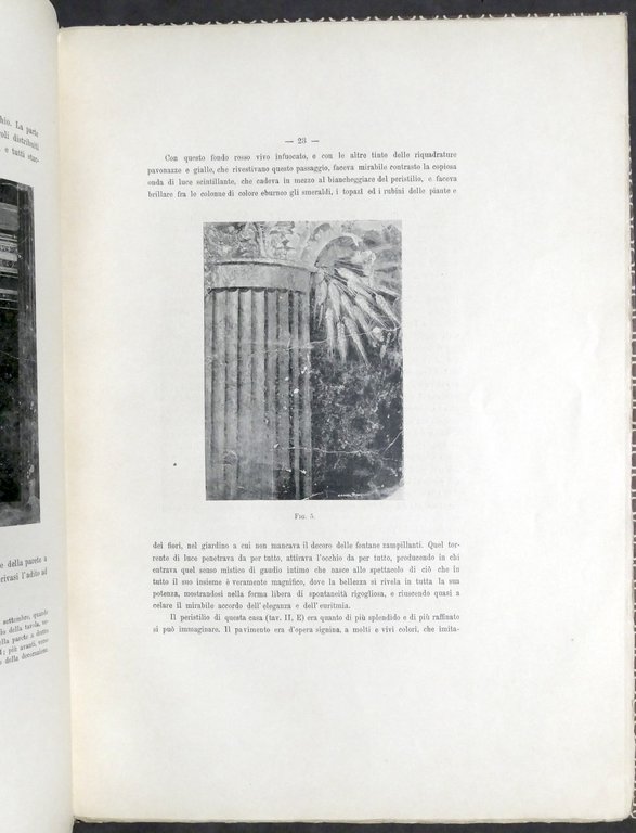 Archeologia F. Sinistore - La villa pompeiana scoperta presso Boscoreale …