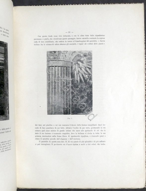 Archeologia F. Sinistore - La villa pompeiana scoperta presso Boscoreale …